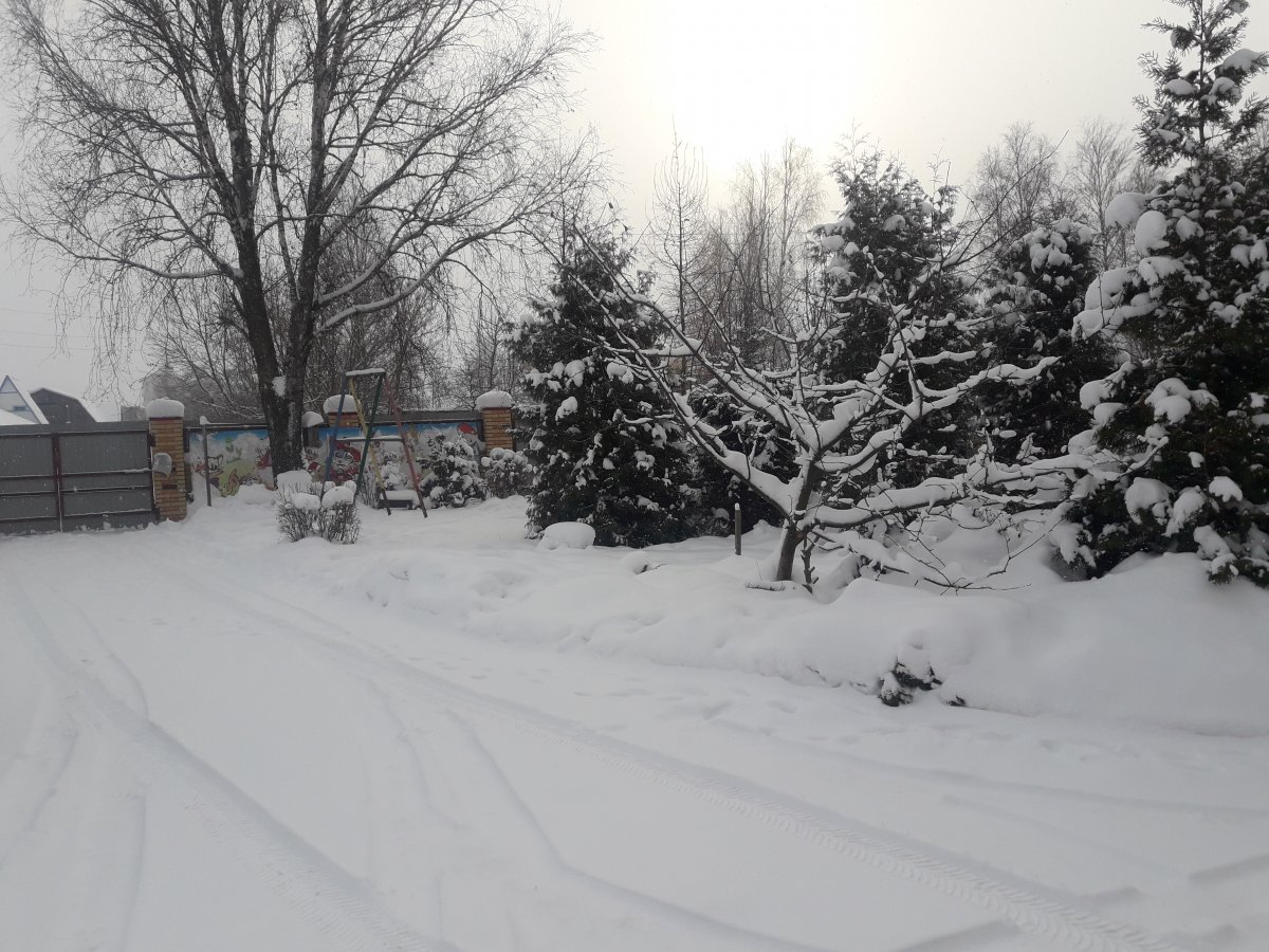 20190106_131355.jpg