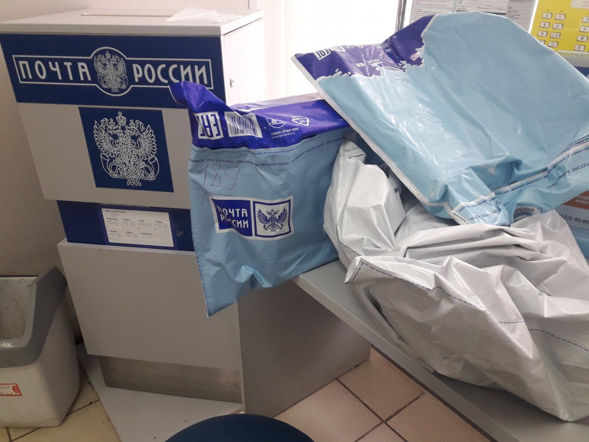 20190117_124656.jpg