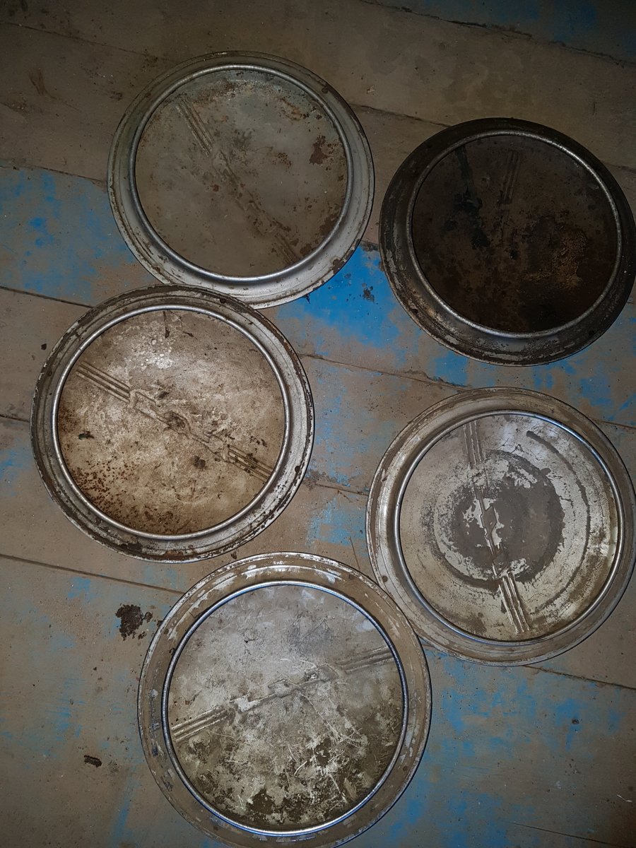 20190302_082709.jpg
