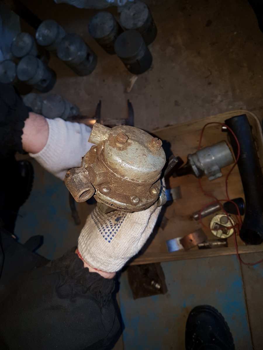 20190302_090104.jpg