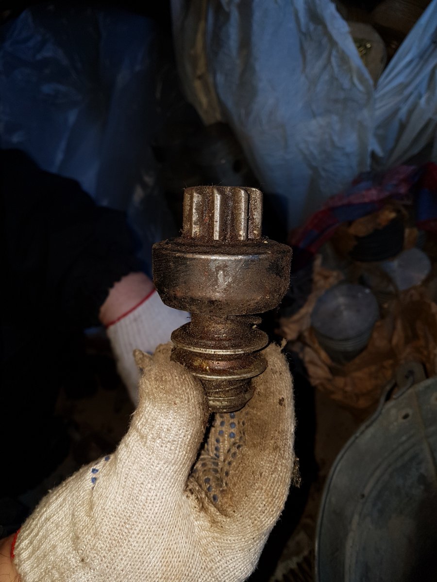 20190302_092545.jpg