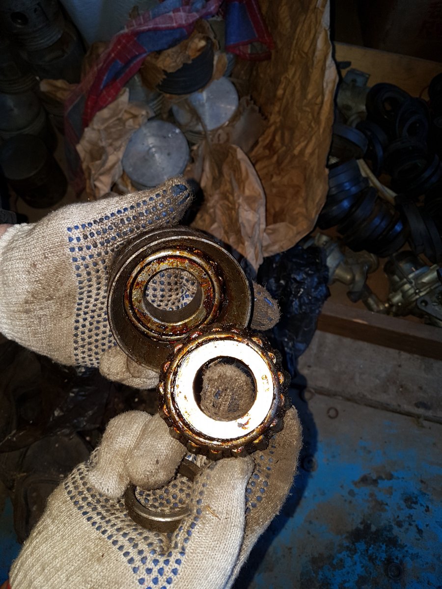 20190302_093156.jpg