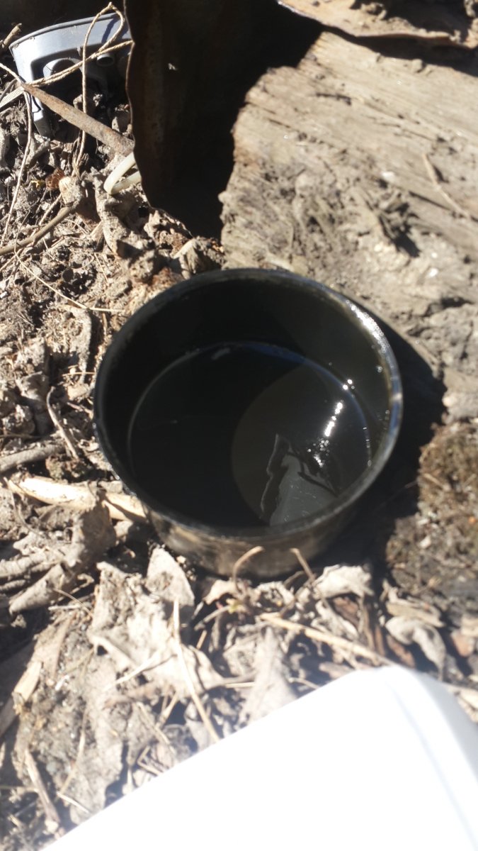 20190330_141013.jpg