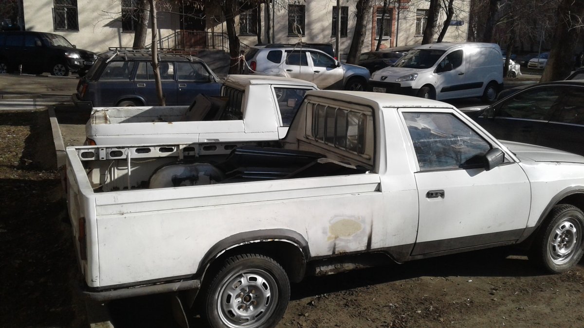 20190403_084204.jpg