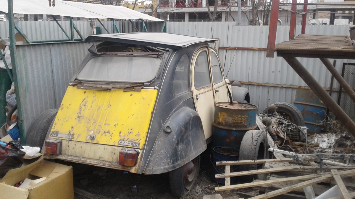 20190407_121927.jpg