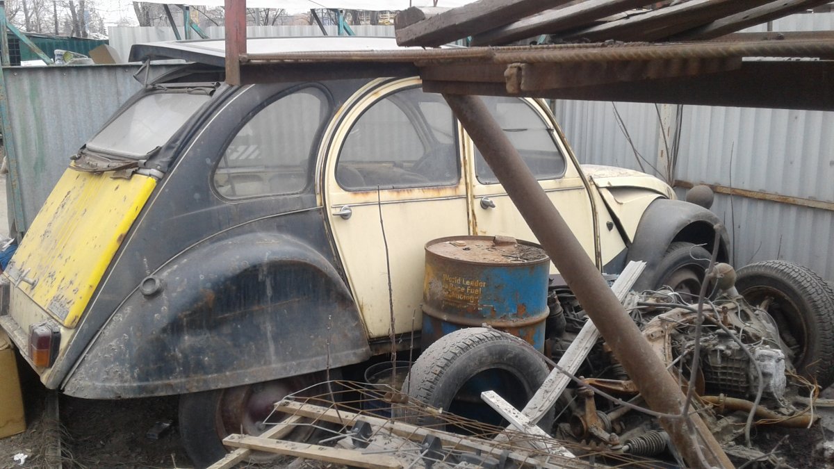 20190407_121936.jpg