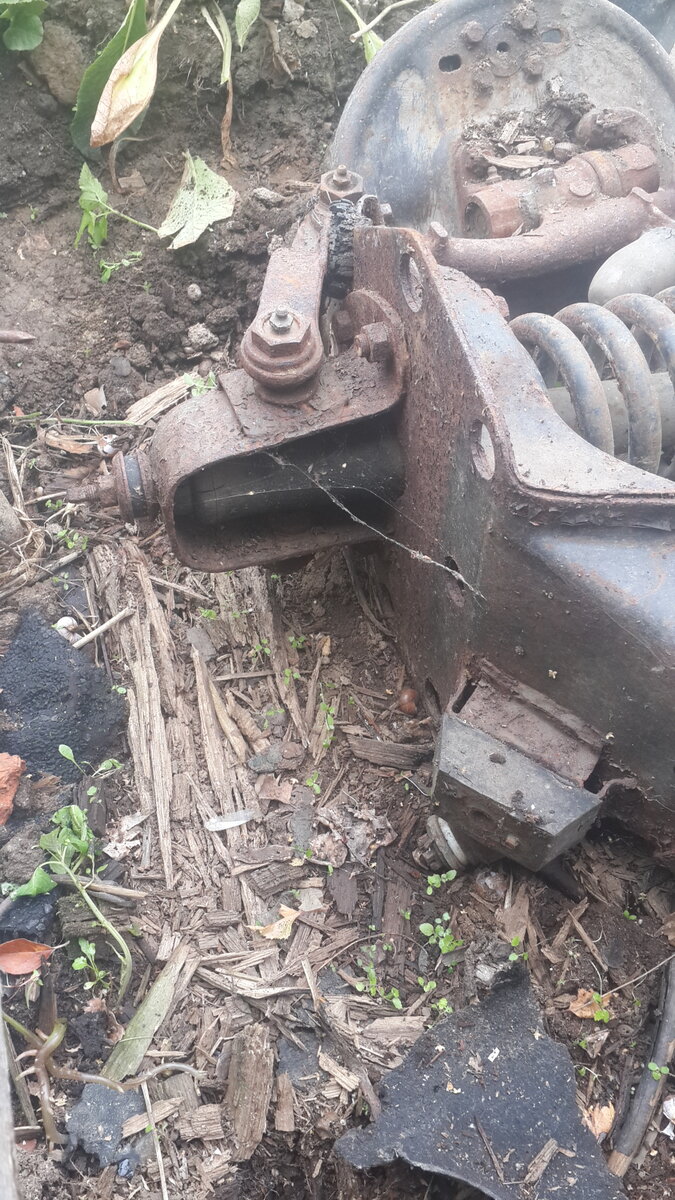 20190713_111813.jpg