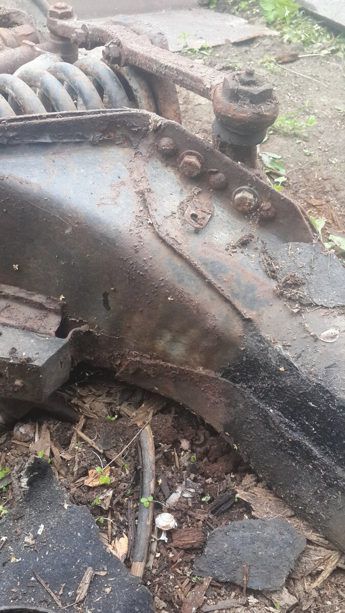 20190713_111826.jpg