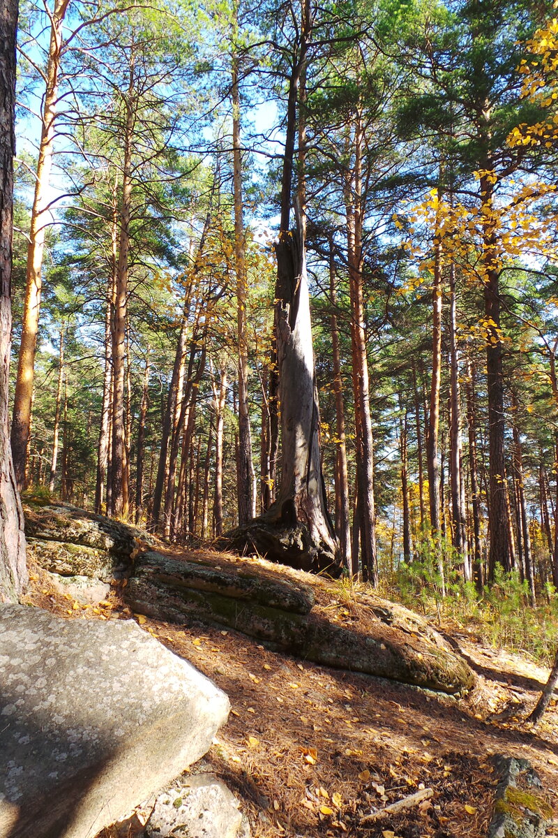 20191006_142013.JPG