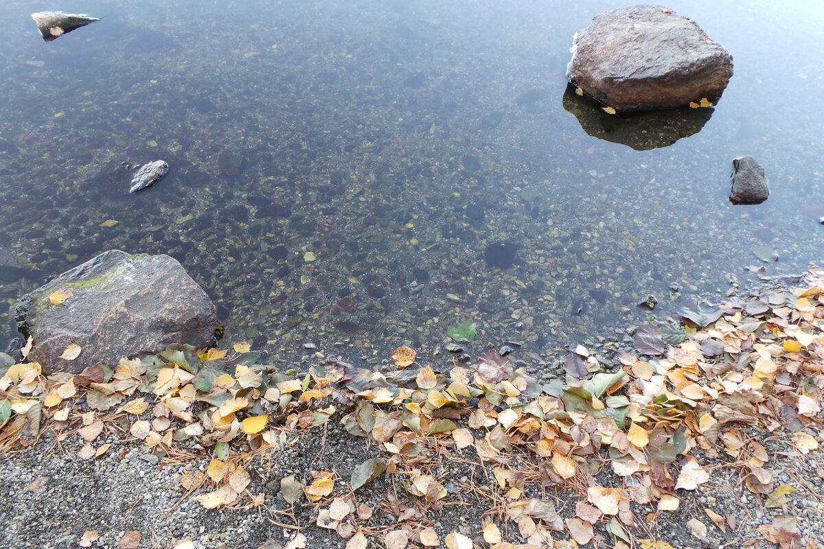 20191006_153824.JPG