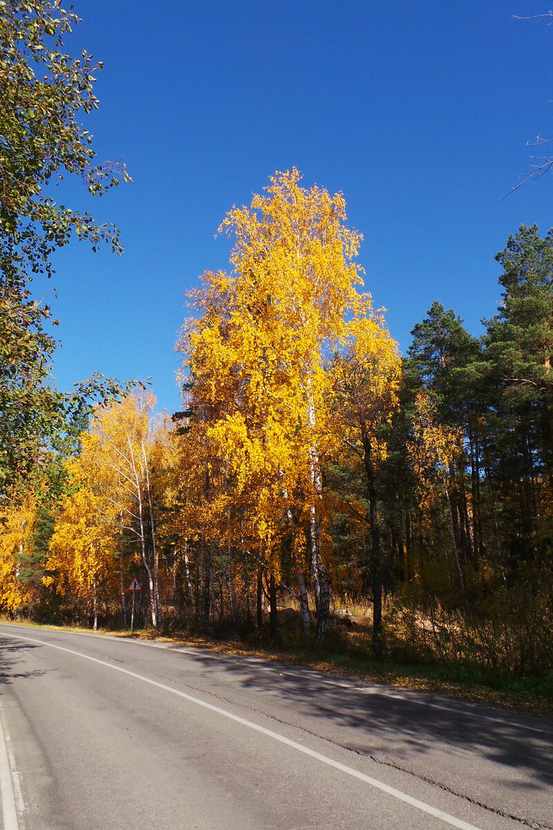 20191006_154118.JPG