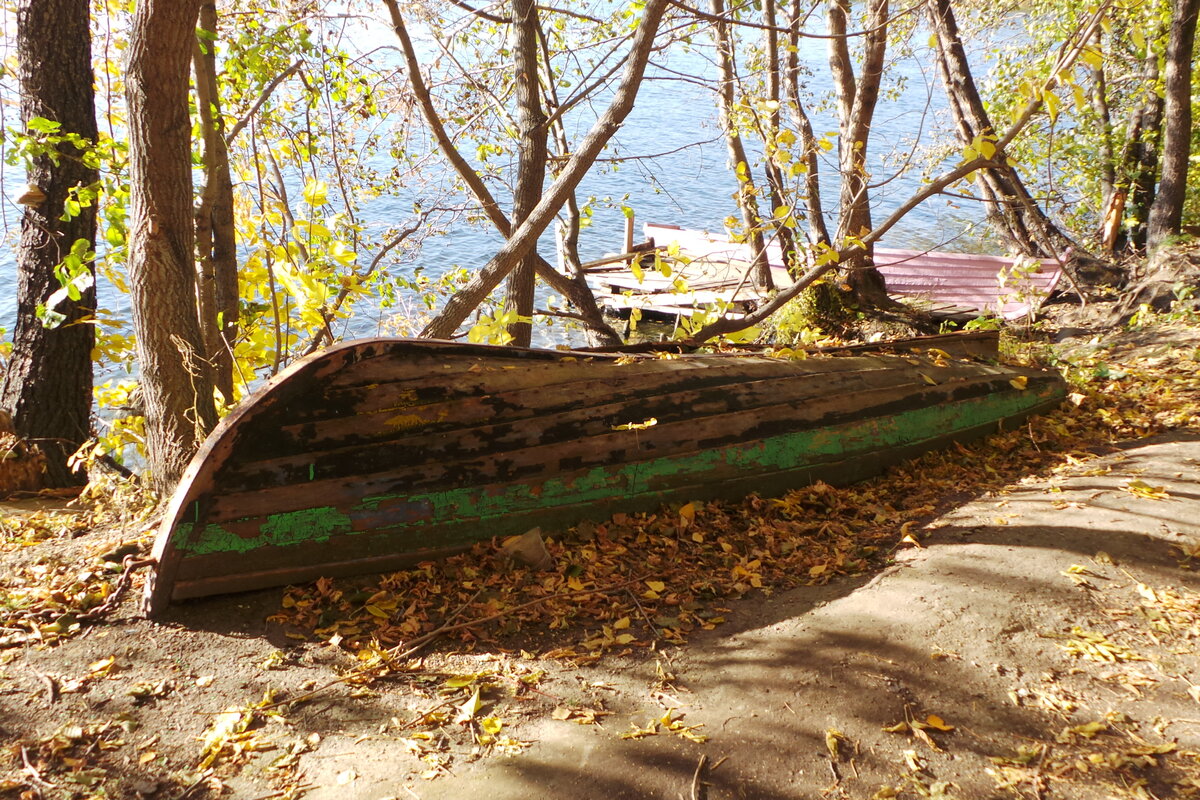 20191006_160739.JPG