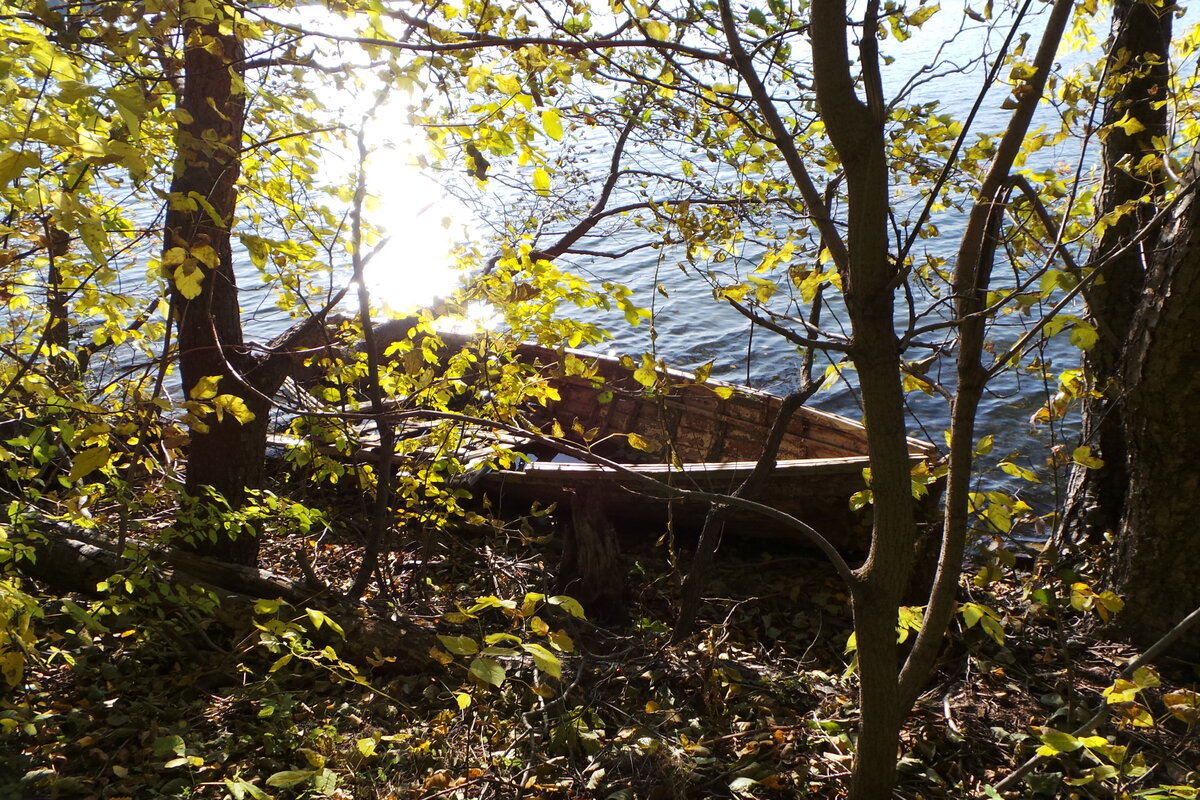 20191006_160811.JPG