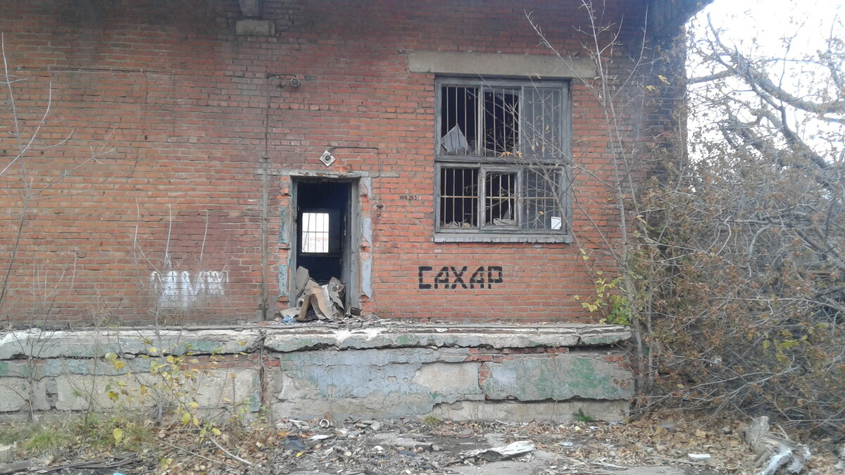 20191023_155022.jpg