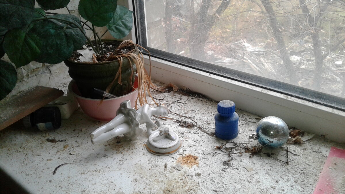 20191023_155546.jpg