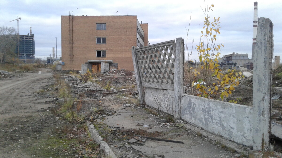 20191023_162645.jpg
