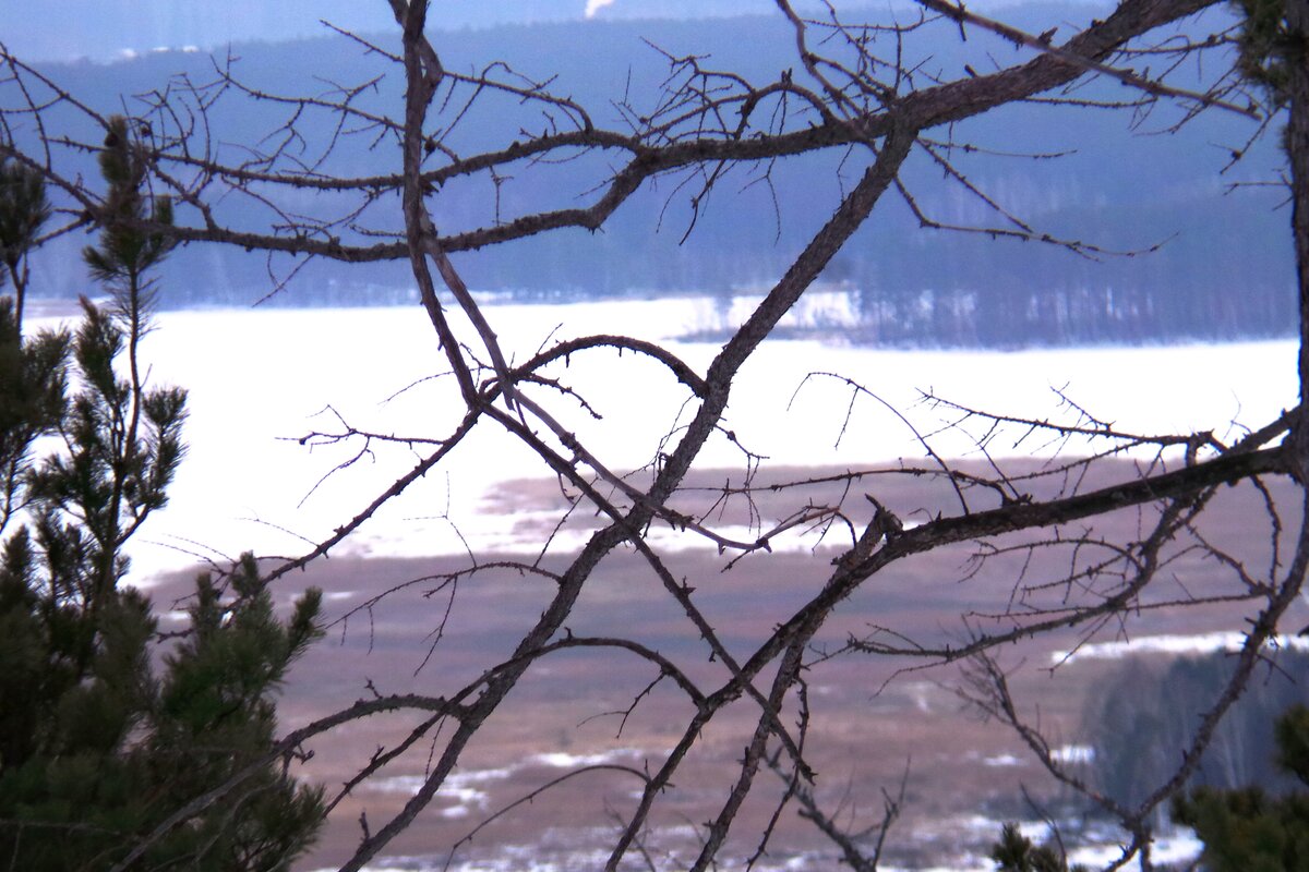 20200215_141800.JPG