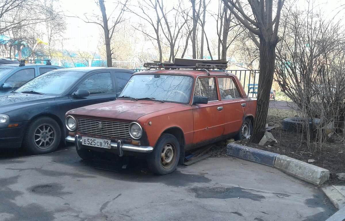 20200409_131058-1.jpg
