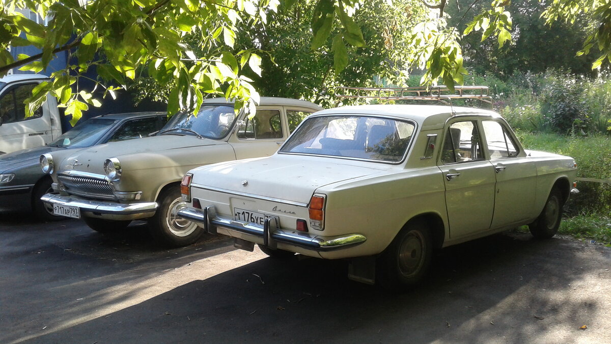 20200804_181752.jpg