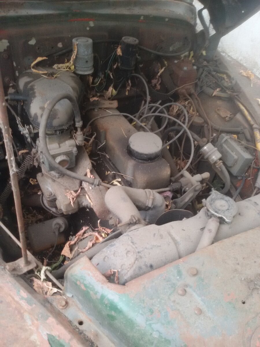 20201007_142431.jpg