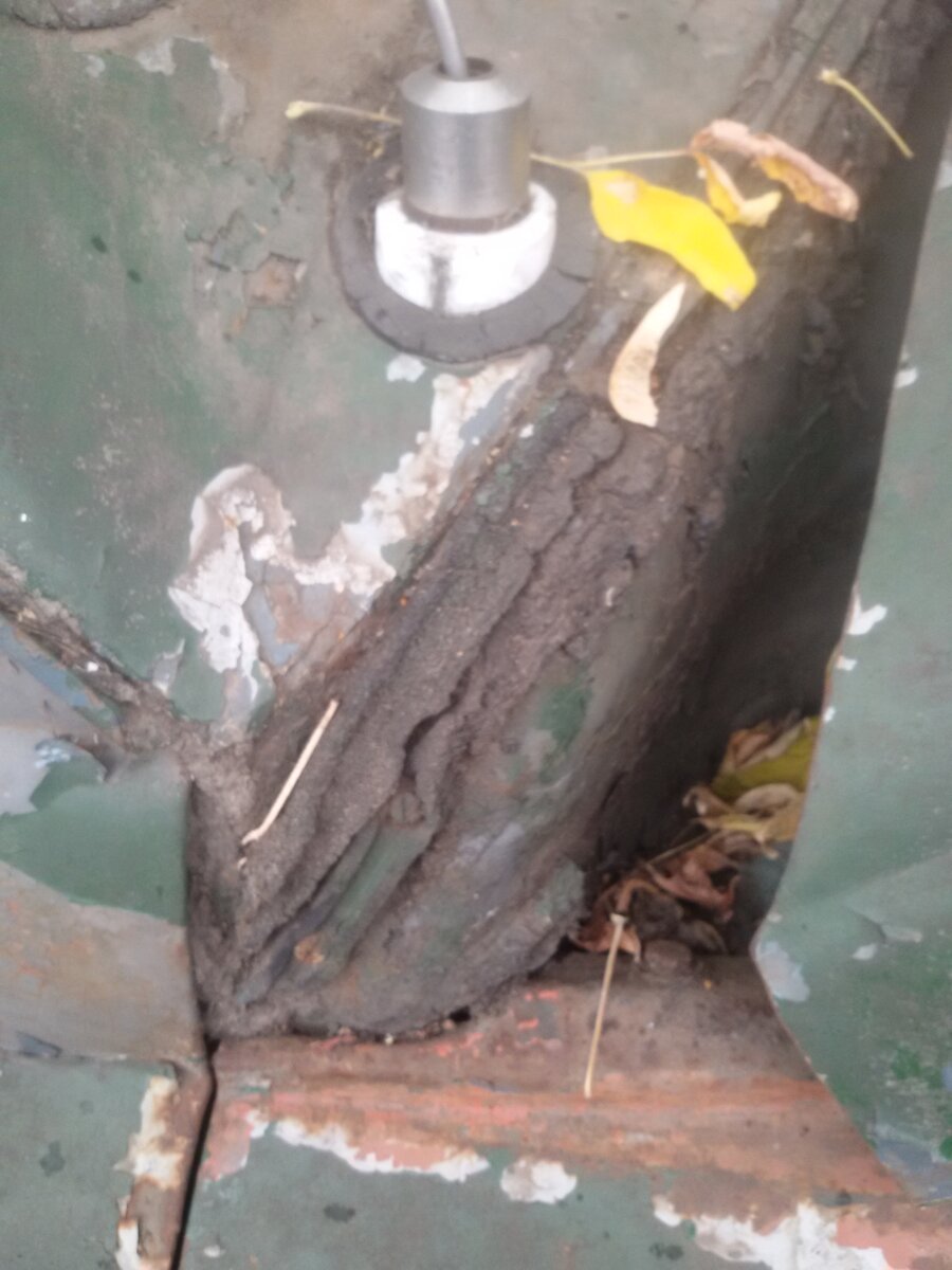 20201007_142507.jpg