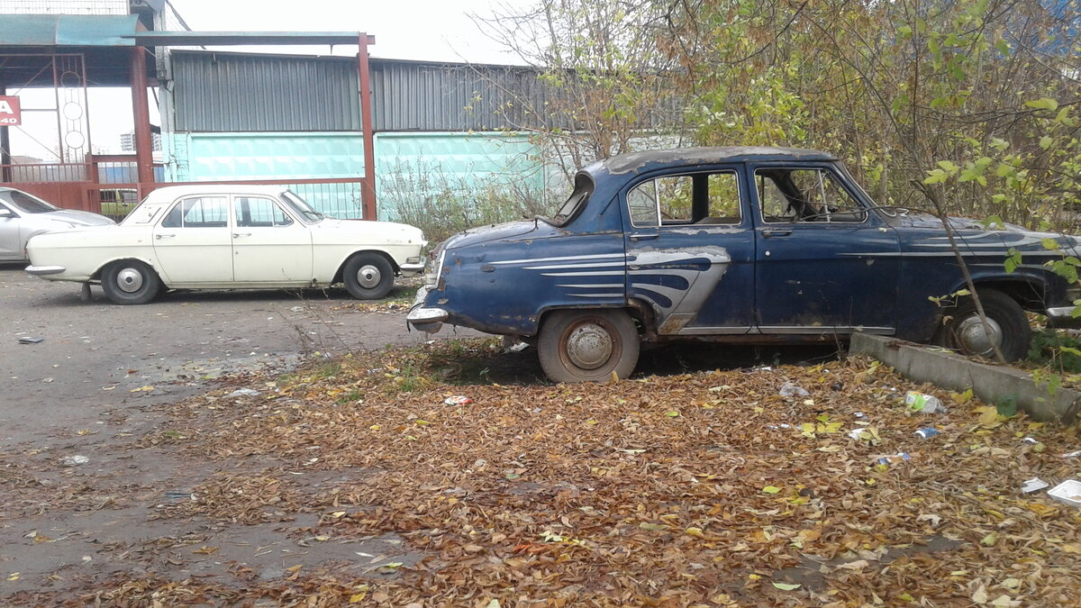 20201023_131606.jpg