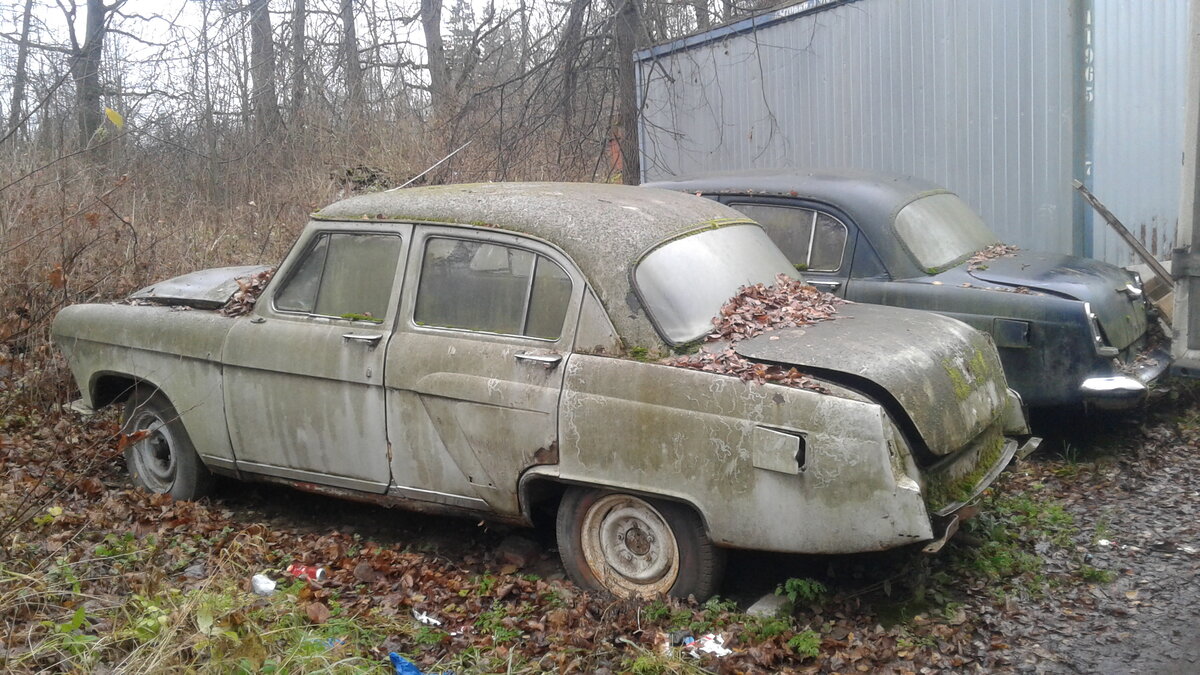 20201113_141520.jpg