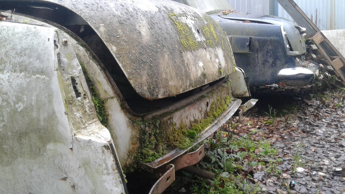 20201113_141529.jpg
