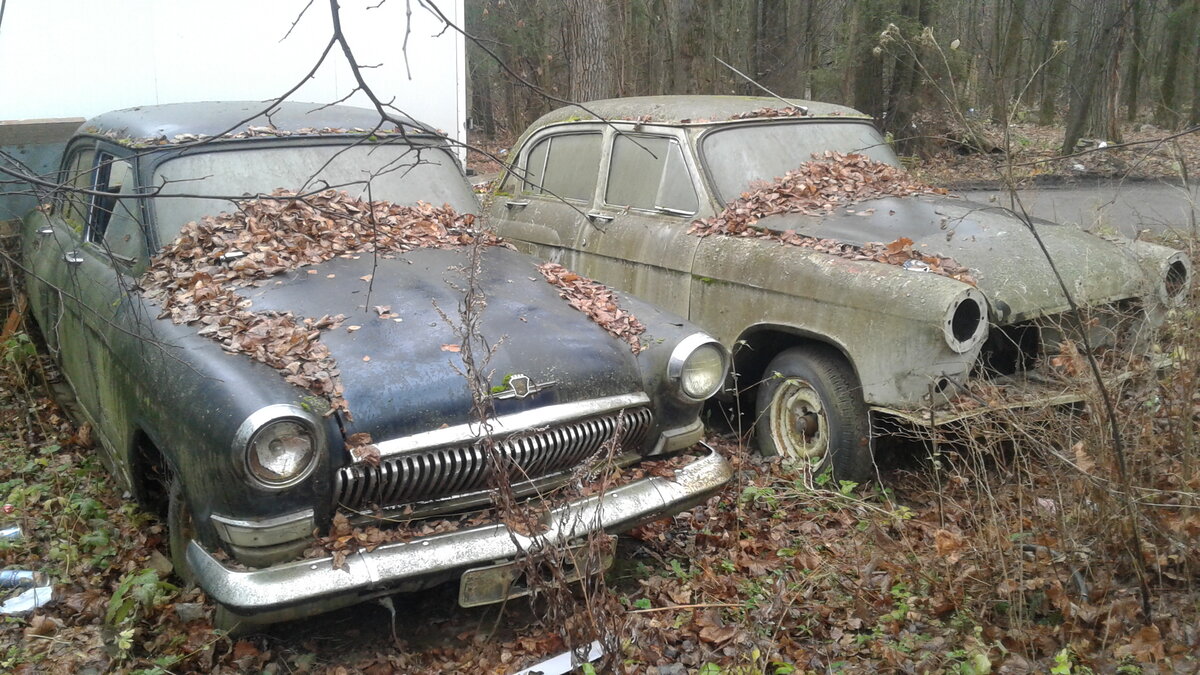 20201113_141609.jpg