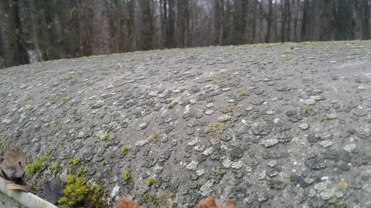 20201113_141658.jpg