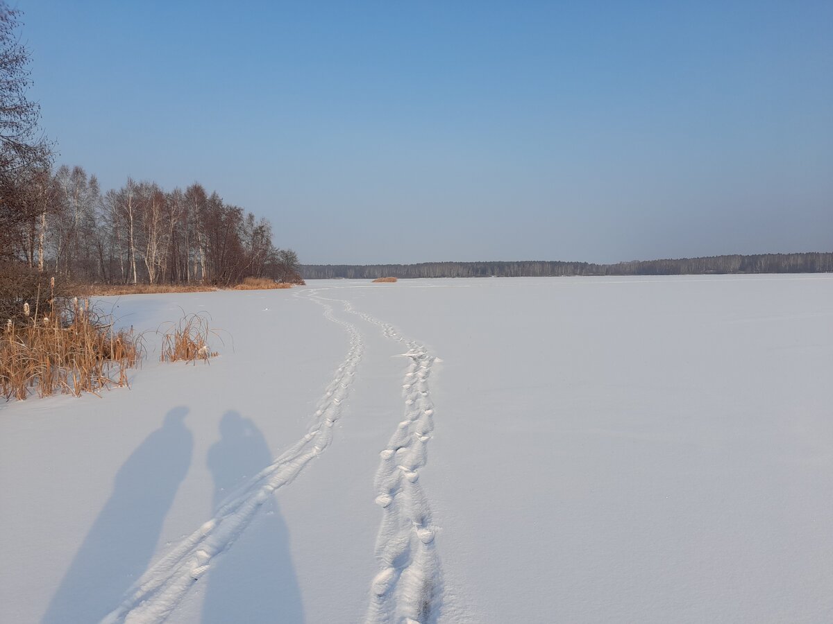 20201128_130408.jpg