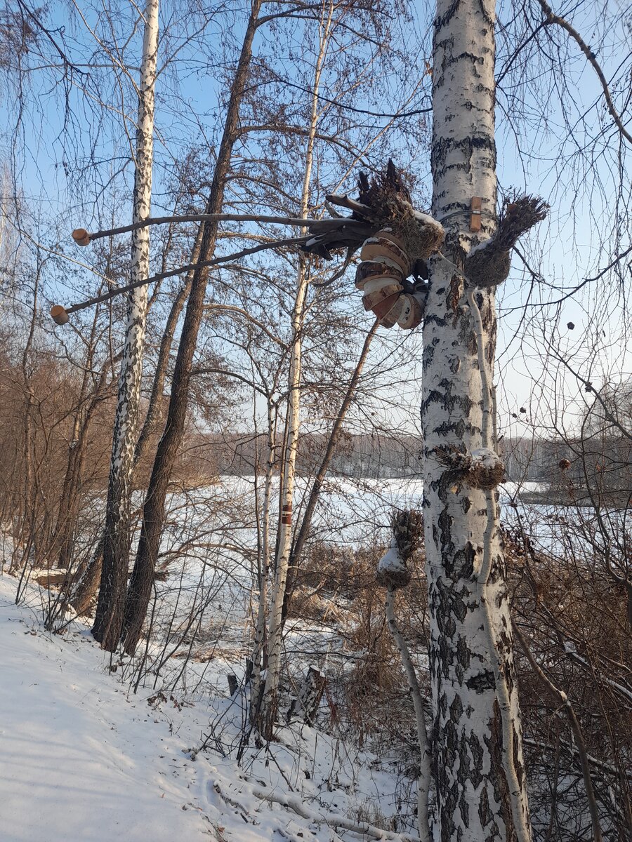 20201128_131735.jpg