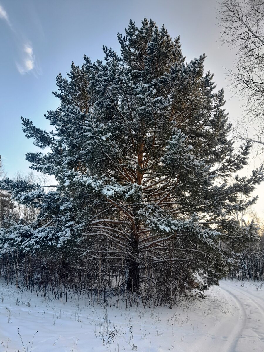 20210106_145946.jpg