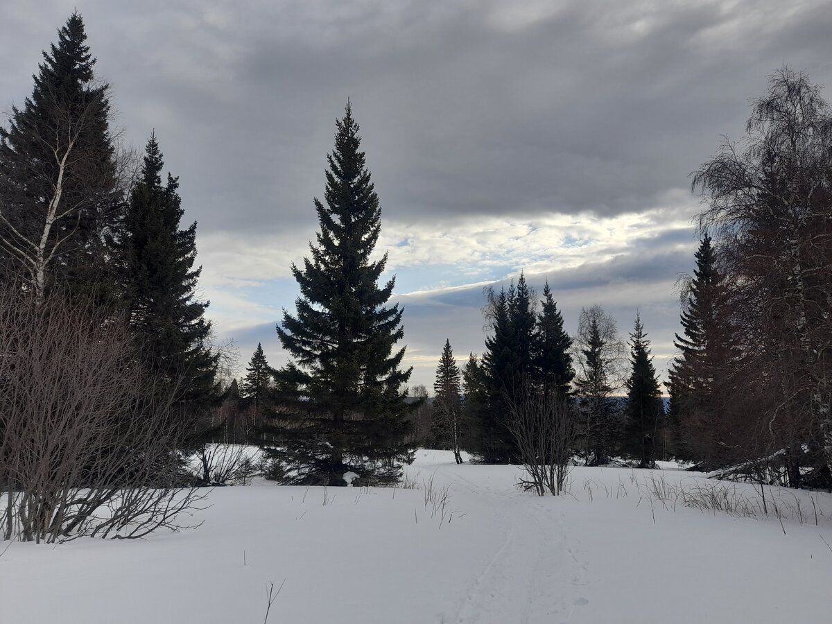 20210130_124221.jpg