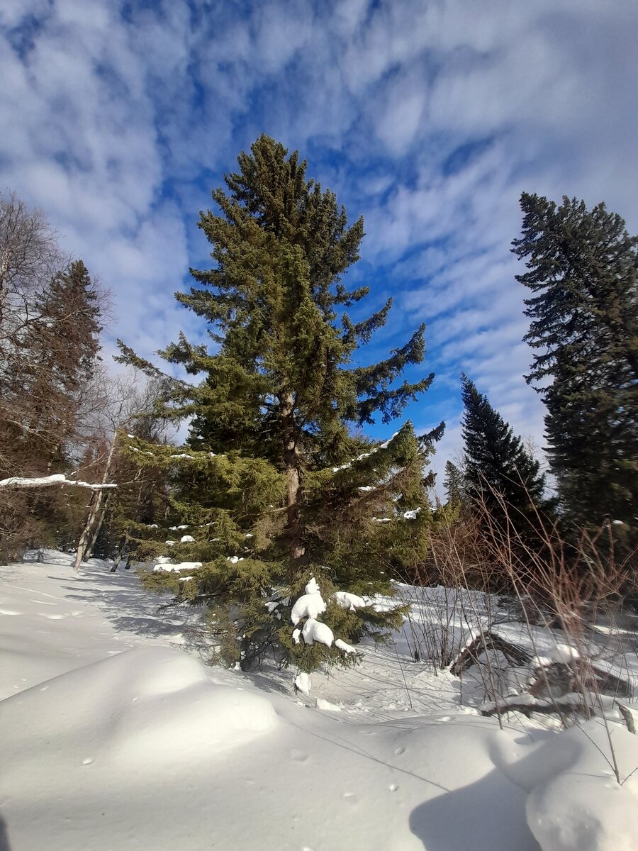 20210130_131934.jpg