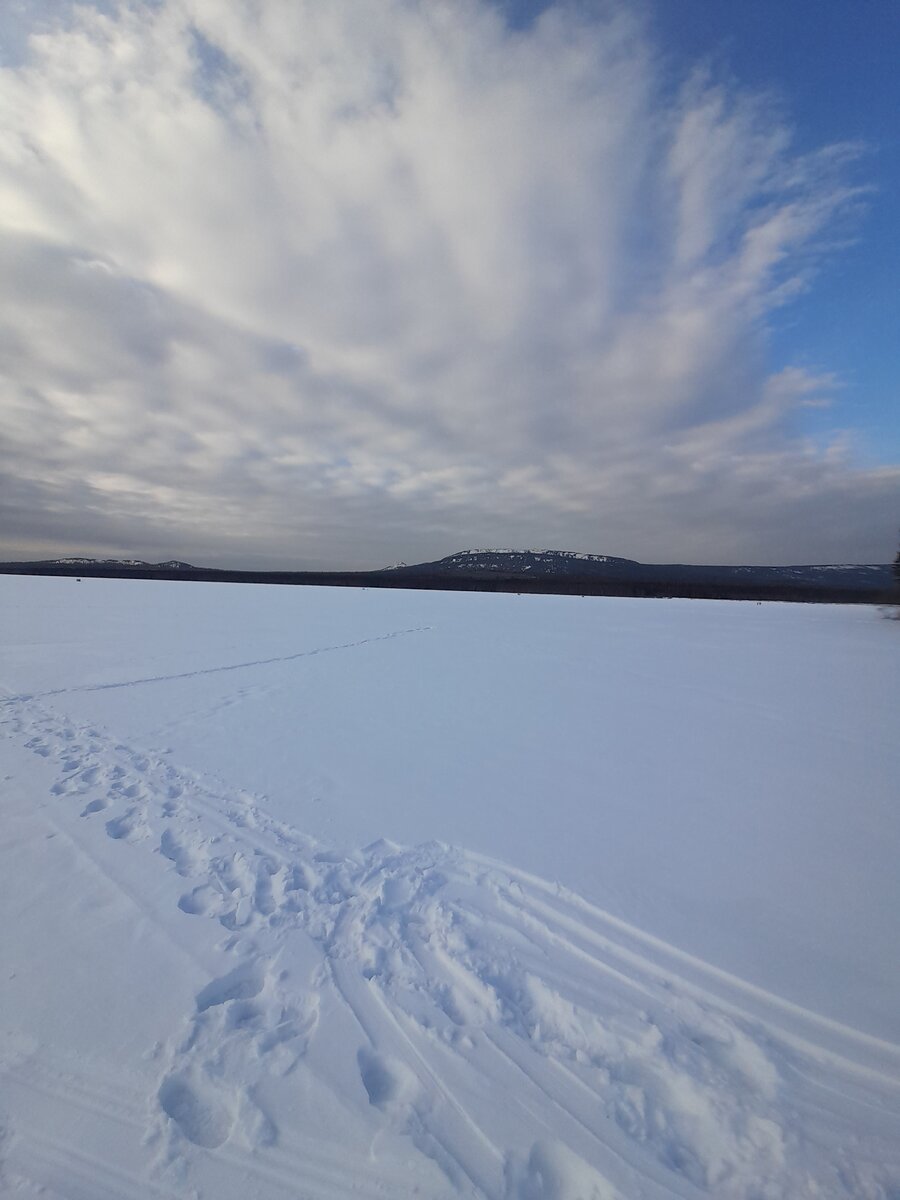 20210130_152416.jpg