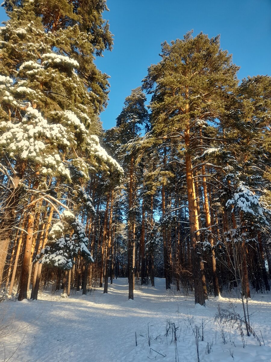 20220104_131311.jpg