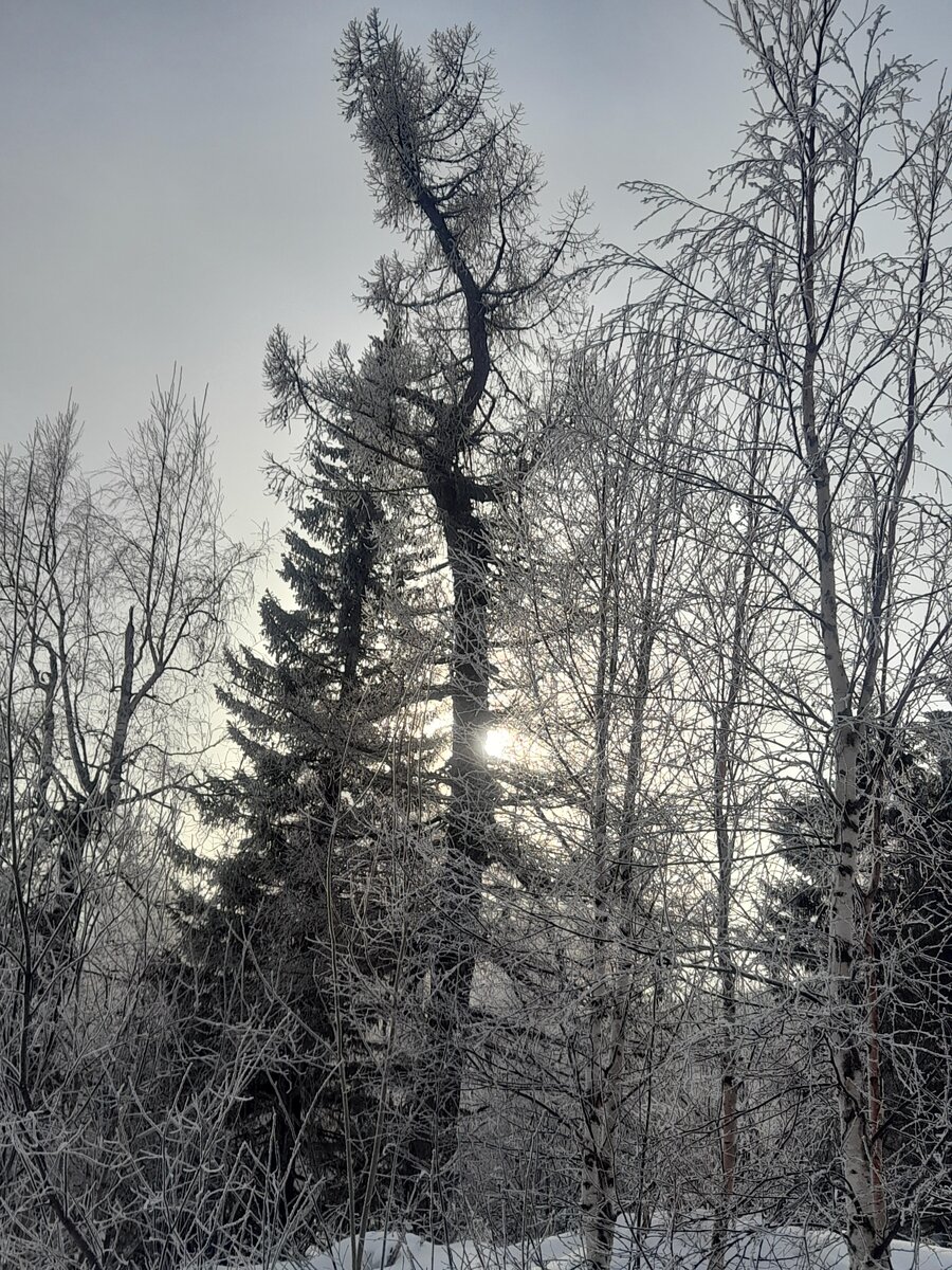 20220129_140715.jpg