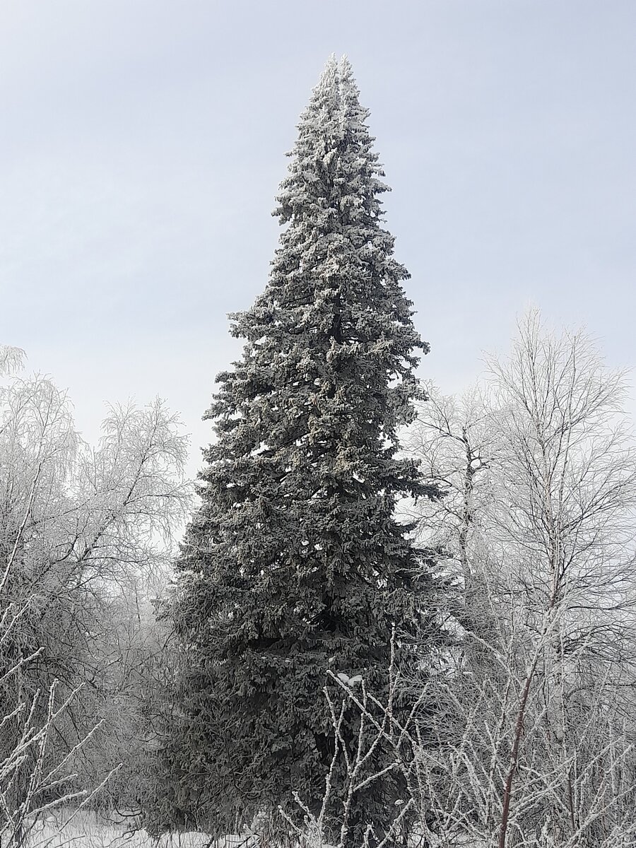 20220129_140840.jpg