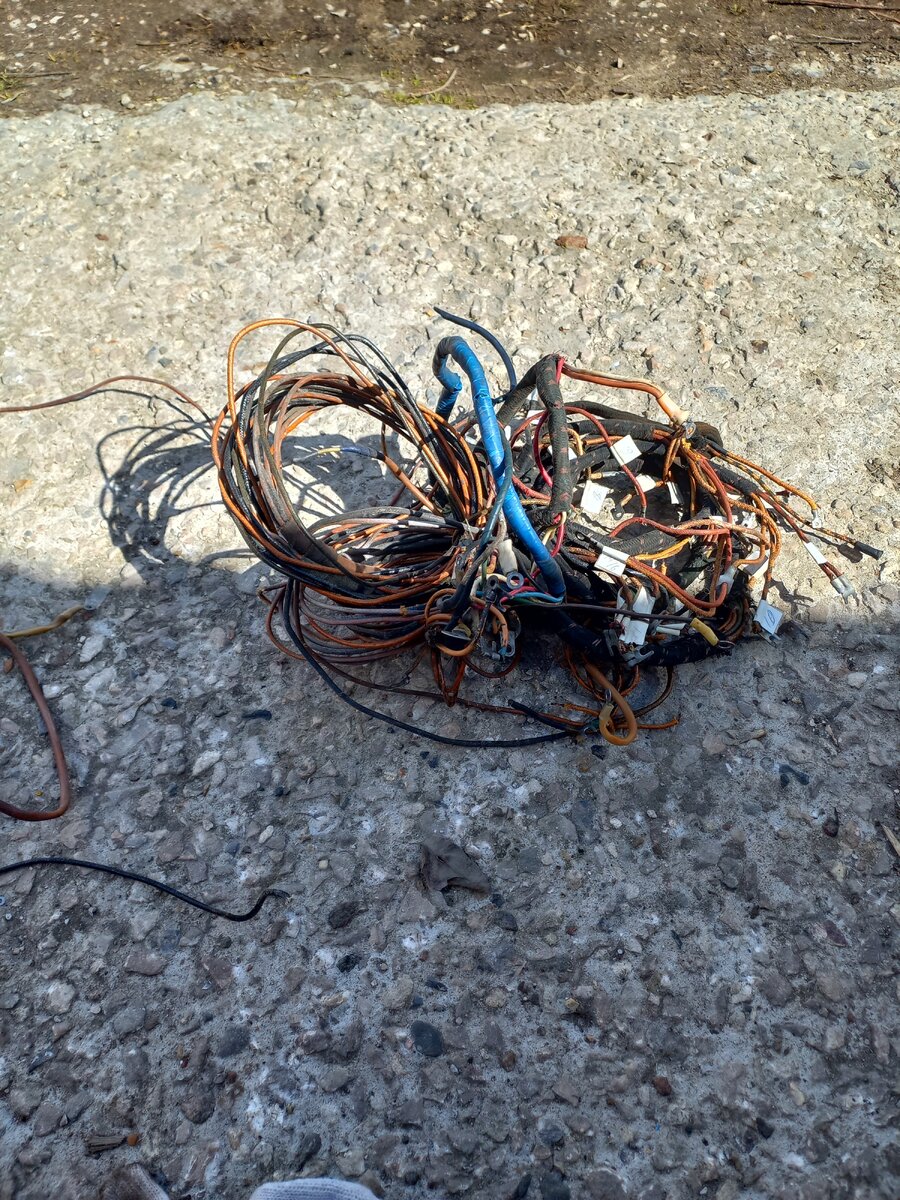 20220502_112810.jpg