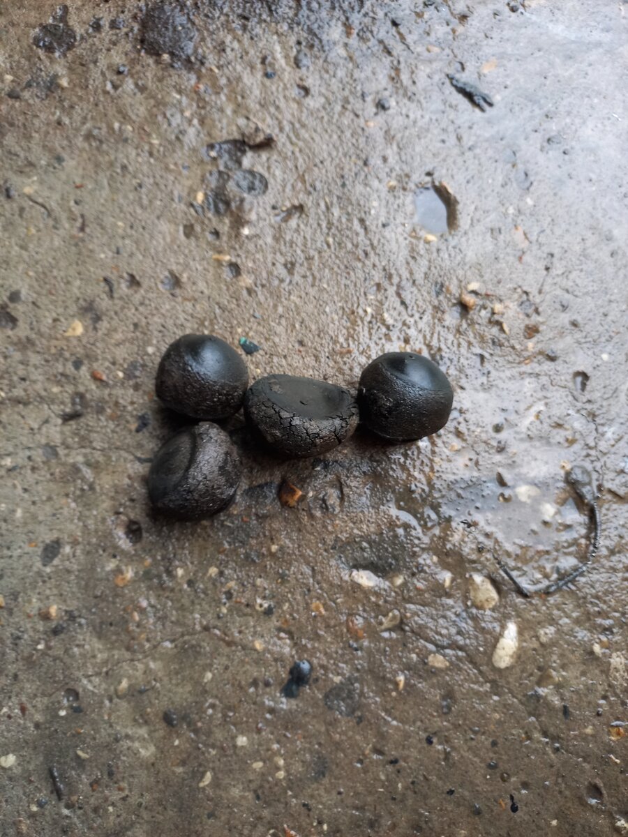 20220726_170811.jpg
