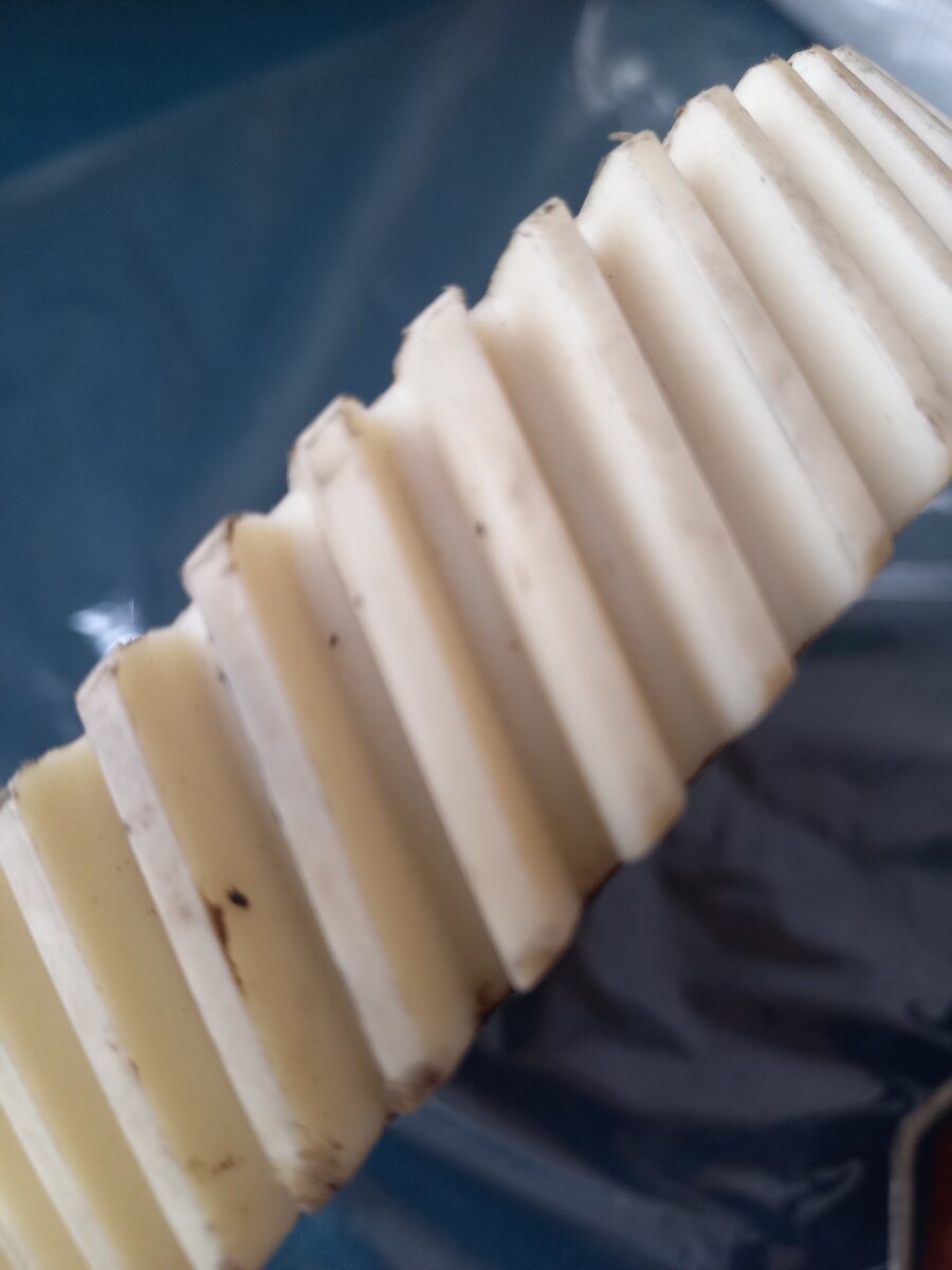 20230309_153811.jpg