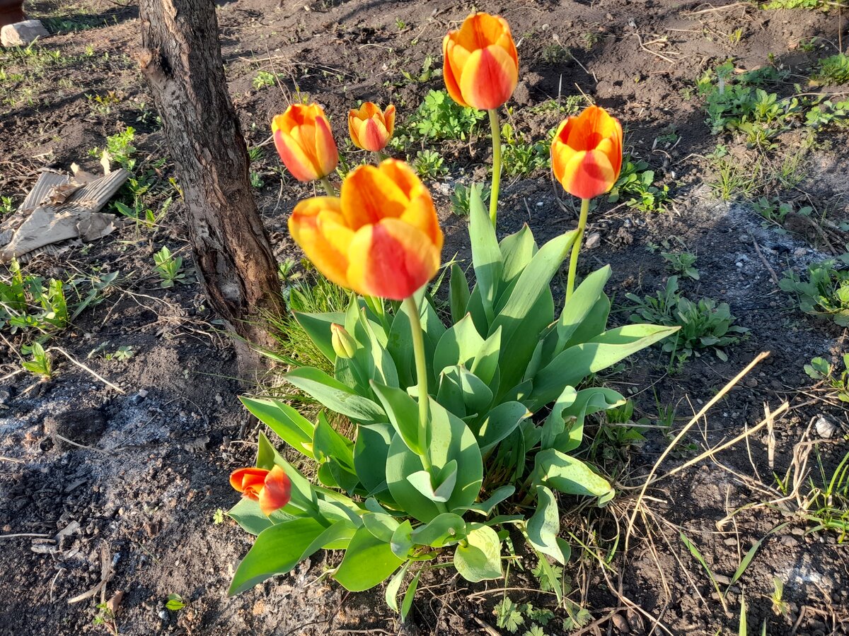 20230503_183742.jpg