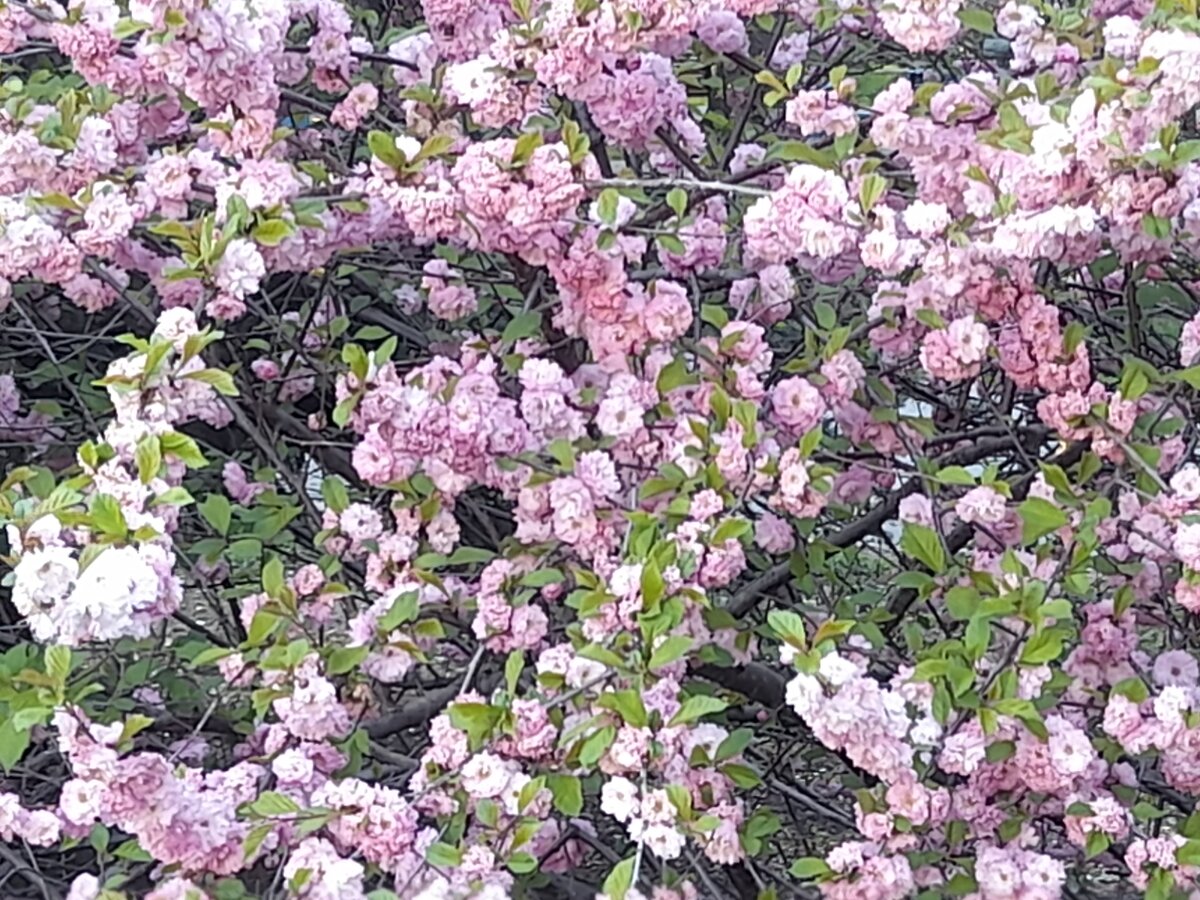 20230510_191455.jpg