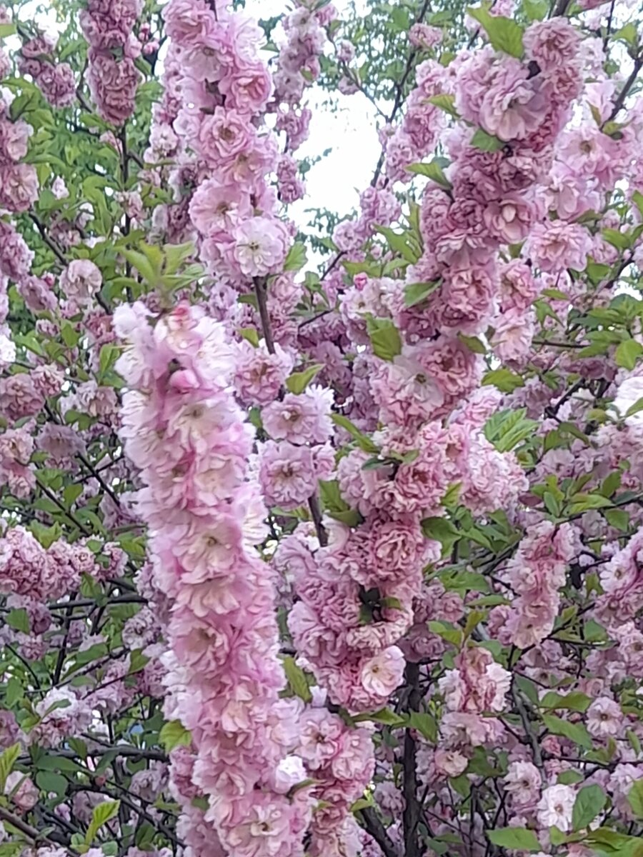 20230510_191552.jpg
