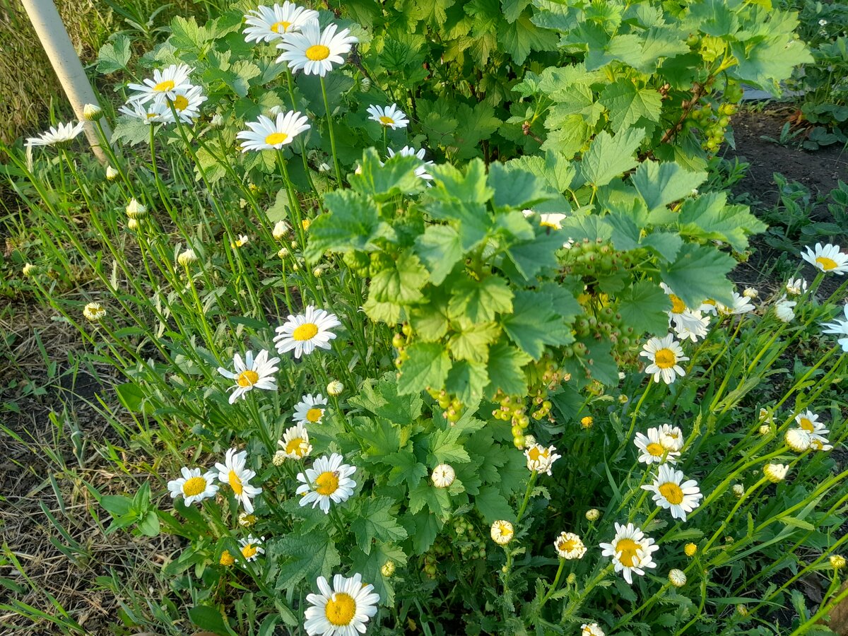 20230529_184801.jpg