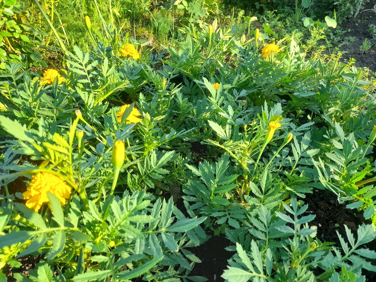 20230608_185653.jpg