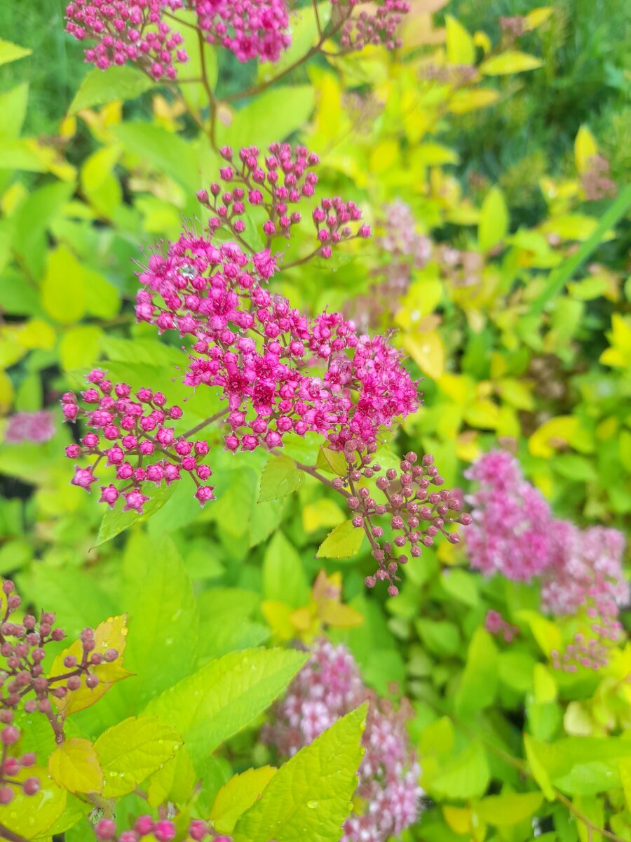 20230626_161026.jpg