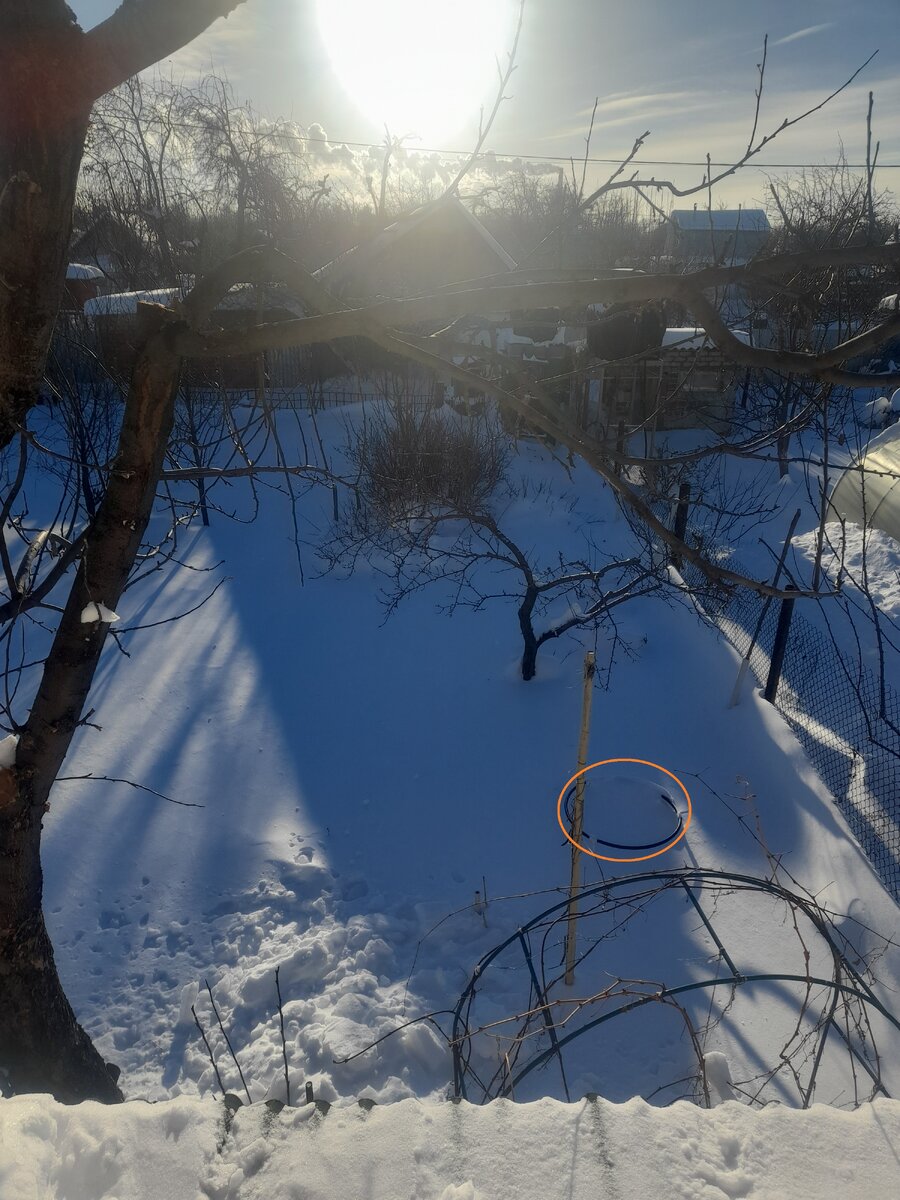20240114_140814.jpg