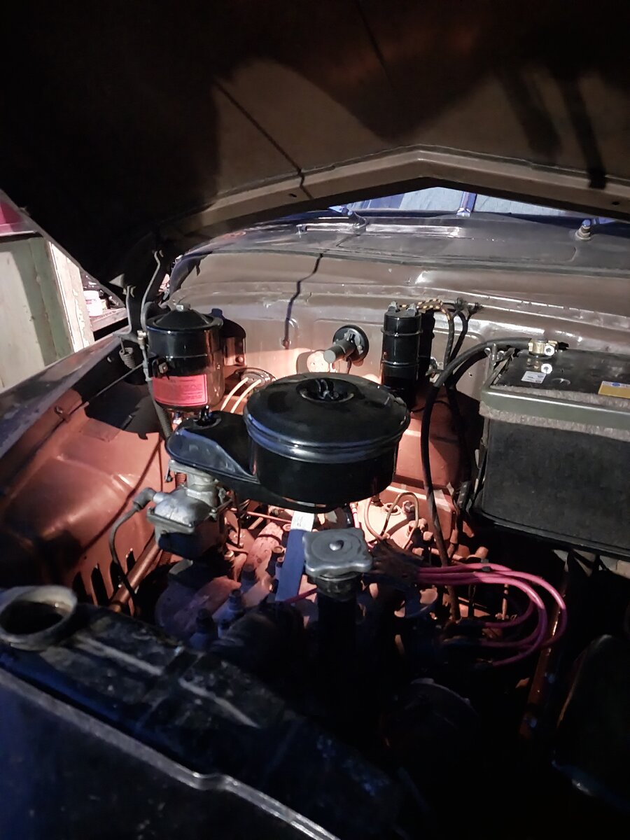 20250404_195305.jpg